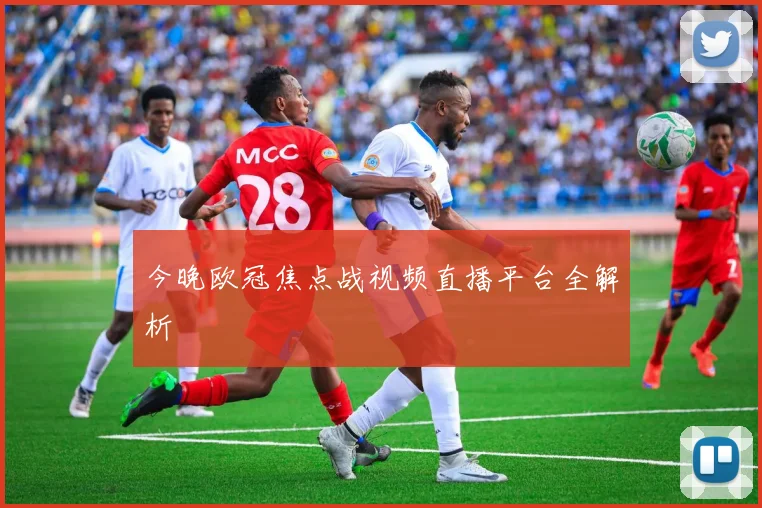 今晚欧冠焦点战视频直播平台全解析